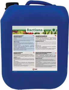 BACTIANA